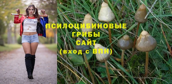 круглые Новокубанск