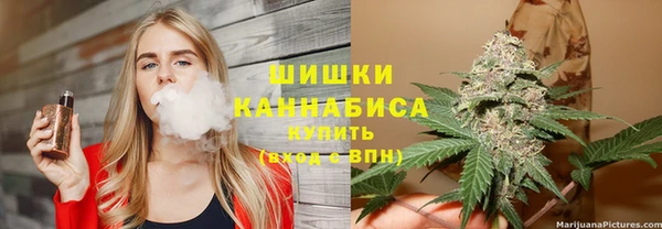 ПСИЛОЦИБИНОВЫЕ ГРИБЫ Новозыбков
