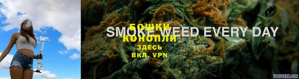 ПСИЛОЦИБИНОВЫЕ ГРИБЫ Новодвинск