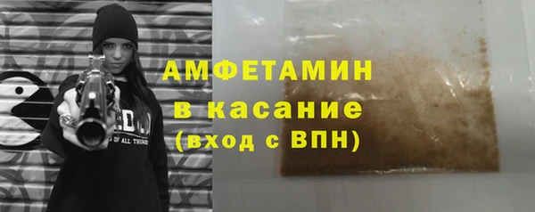 ПСИЛОЦИБИНОВЫЕ ГРИБЫ Новозыбков