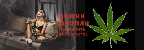 ПСИЛОЦИБИНОВЫЕ ГРИБЫ Новодвинск