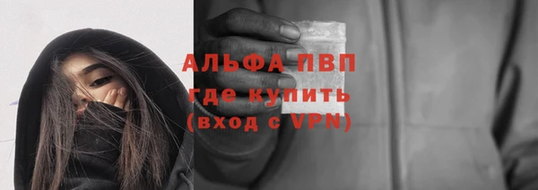 ПСИЛОЦИБИНОВЫЕ ГРИБЫ Новозыбков