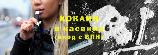 ПСИЛОЦИБИНОВЫЕ ГРИБЫ Новозыбков
