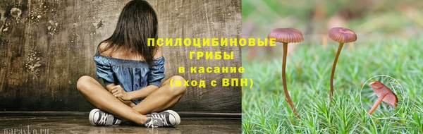 ПСИЛОЦИБИНОВЫЕ ГРИБЫ Новодвинск