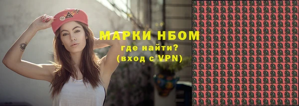 ПСИЛОЦИБИНОВЫЕ ГРИБЫ Новозыбков